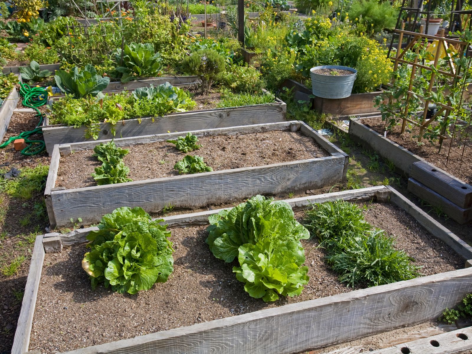 How to Build a DIY Raised Garden Bed You Can Use for Years