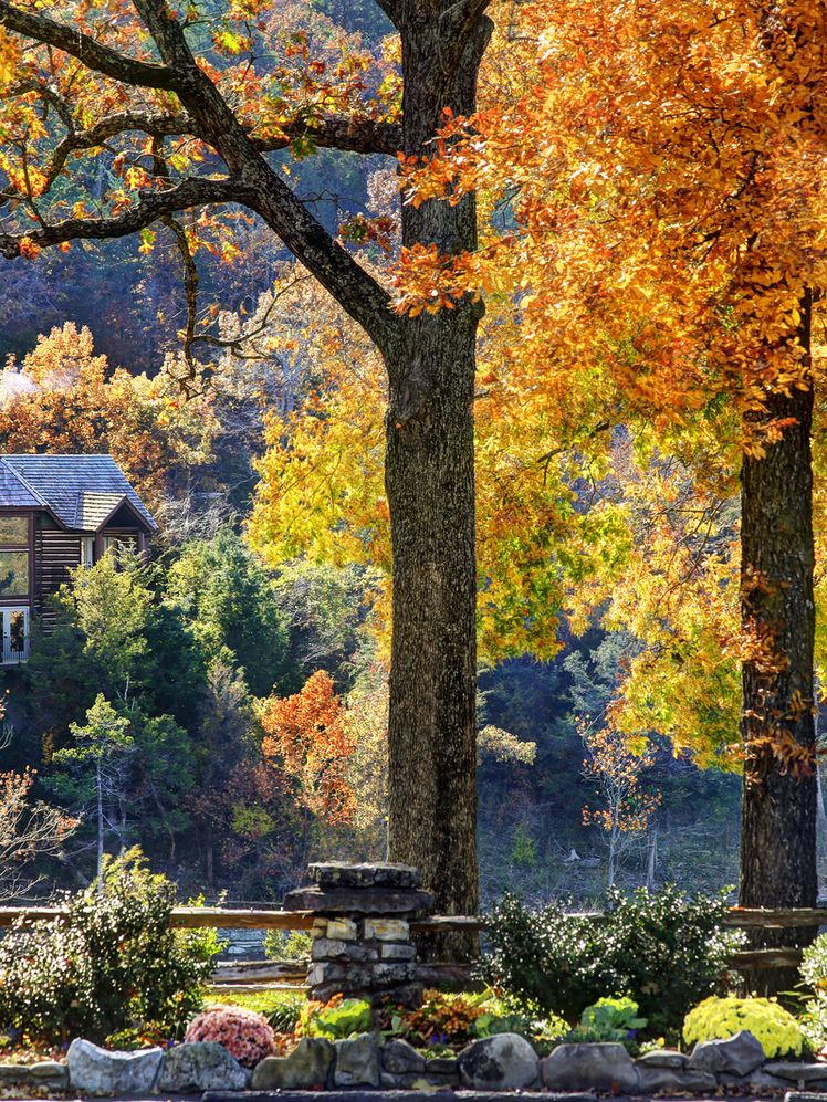 Best Airbnbs and Hotels in Upstate New York for Leaf-Peeping This Fall