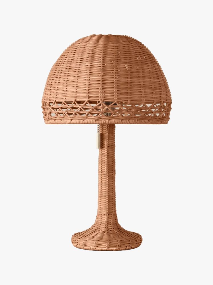 Image may contain Lamp Table Lamp and Lampshade