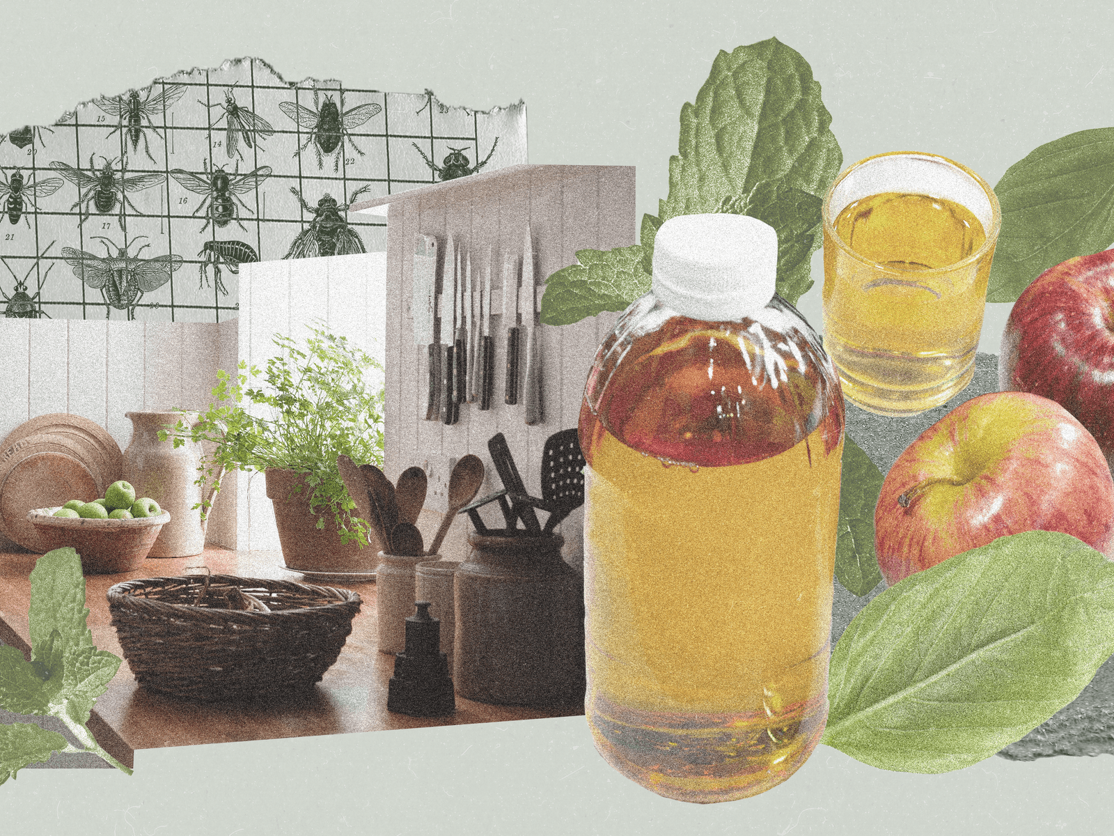 How to Get Rid of Fruit Flies: Five Methods for Fast Results